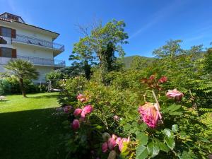 a garden with pink roses in front of a building at B&B Rox e Claudia in Lugnola