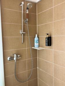 a bathroom with a shower with a bottle of soap at Wanderlust Cottage Avrig in Avrig +53 photos