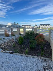 a garden in front of a building with houses at 101 Maia in Gqeberha