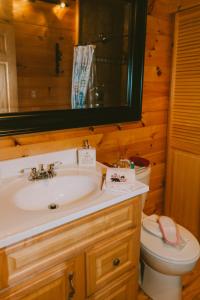 a bathroom with a sink and a toilet and a mirror at Sunset Chalet in Belgrade +40 photos