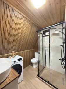 a bathroom with a washing machine and a toilet at Hillside Shilda in Shilda