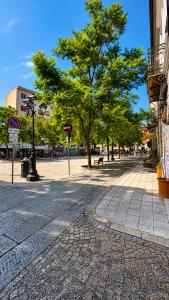 a street with a tree on a cobblestone street at Hotel Terranova in Olbia