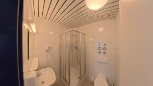 a bathroom with a shower and a toilet and a sink at Babelfish Hostel in Würzburg +81 photos