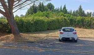 a small white car parked next to a tree at Chambre très calme in Montélimar +1 photo
