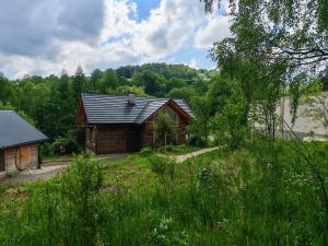 a small wooden cabin in the middle of a field at Słonna Chatka in Wujskie
