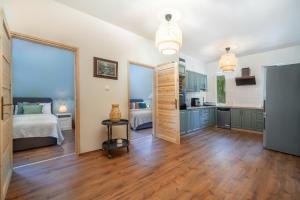 a room with a kitchen and a bedroom with a bed at Rita Apartman in Balatonföldvár