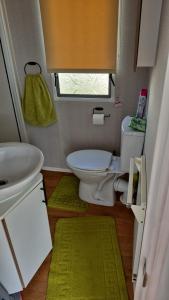 a small bathroom with a toilet and a sink at Izabela's Caravan - Caravan 261 in Saint Osyth