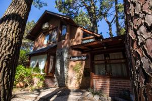 a house with a tree in front of it at Cabañas Murmullo de Agua in Mar de las Pampas