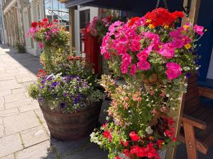 a group of flowers in pots on a building at The Kings Head Inn in Llandovery