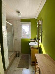 a green bathroom with a sink and a shower at Grand studio in Salles-sous-Bois