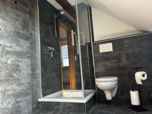 a bathroom with a shower and a toilet at Gästehof Tultewitz in Naumburg
