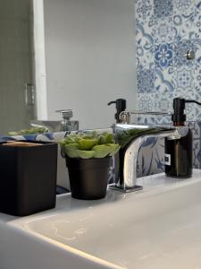 a sink with a faucet and a bowl of green plants at KAZ DIBWA Beach House in Glacis +13 photos
