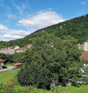 a tree in a field with a mountain in the background at Chambre et table d'hôtes La Meule in Poligny