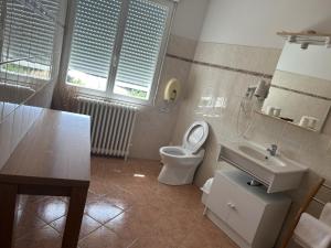 a bathroom with a toilet and a sink at Au Bon Accueil in Alban +22 photos