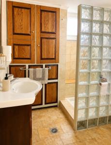 a bathroom with a sink and a shower at Okio in Petra