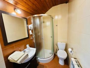 a bathroom with a shower and a toilet and a sink at Wygodne Spanie in Cisna
