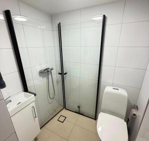a white bathroom with a shower and a toilet at Lk Apartments in Halmstad