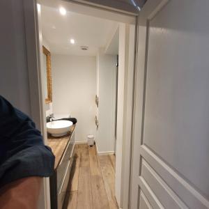 a bathroom with a white sink and a mirror at Le FENUA in Colmar