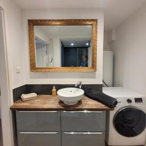 a bathroom with a sink and a mirror and a washing machine at Le FENUA in Colmar +12 photos
