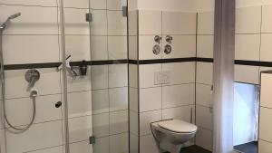 a bathroom with a shower and a toilet at Unter der Linde in Tittmoning +15 photos