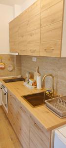 a kitchen with a sink and wooden cabinets at Victor spa Apartment in Veliko Gradište