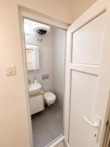 a bathroom with a toilet and a sink at Vila Petra in Perazića Do