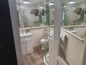 a bathroom with a toilet and a sink and mirrors at The Red Lion Hotel in Oakford +38 photos
