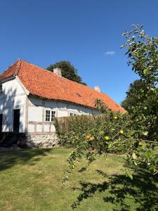 an old house with an orange roof and an apple tree at The South Wing at Højbygård in Rødby