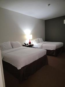 two beds in a hotel room with a lamp at Dyersburg Hotel in Dyersburg