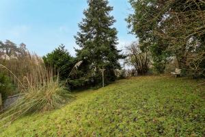 a park with a tree and a bench on a hill at On The Rocks - Alpes Mancelles - Jardin in Sillé-le-Guillaume