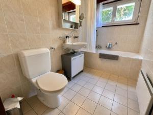 a bathroom with a toilet and a sink at Villa Lake View in Grandvaux +14 photos