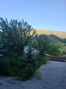 a group of trees and bushes with mountains in the background at Eka's house in Kazbegi Goristsikhe in Itʼkhvisi
