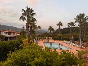 a swimming pool with palm trees and a house at Tenuta del Bifan in Policastro Bussentino