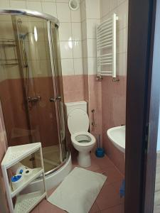 a bathroom with a shower and a toilet and a sink at Santa Maria in Kołobrzeg