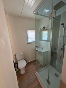 a bathroom with a toilet and a glass shower at Camping le Cabri in Duras +8 photos