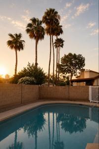 a swimming pool with palm trees in the background at Desert Disconnect Pool and Putting Green in Gilbert