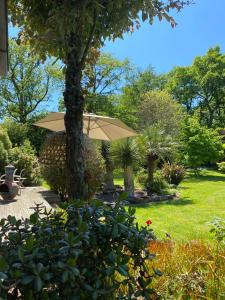 a garden with an umbrella and some plants at Le Domaine d'Elissois in Saint-Nicolas-de-Redon