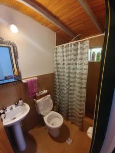 a bathroom with a toilet and a sink at Alquiler Ramos in Viedma