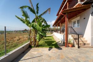 a house with a palm tree next to a fence at Sunset Luxury Potidea in Metókhion Patriotikón
