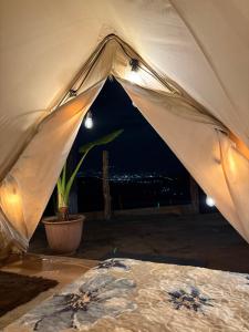 a tent with a potted plant in a room at Senda del Cielo in Villa Nueva