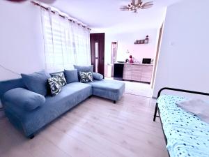 a living room with a blue couch and a kitchen at Closca Apartment 2 in Floreşti