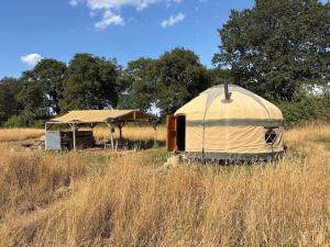 a tent sitting in a field of tall grass at Ash Yurt in Kent