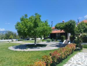 a tree sitting in the middle of a yard at ΑΡΧΟΝΤΙΚΟ ΣΤΟΥΣ ΠΡΟΠΟΔΕΣ ΤΟΥ ΟΡΟΥΣ ΔΙΡΦΥΣ in Loútsa
