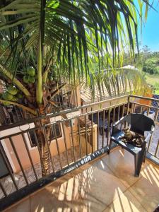 a cat laying on a chair under a palm tree at Pousada Conecta Travel in Rifaina