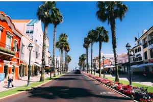 a street with palm trees on the side of the road at Lovely & Comfy 3 in Estoril +2 photos