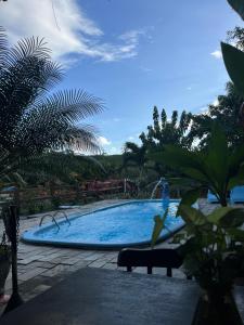 a swimming pool in a resort with a palm tree at Hotel Fazenda Oásis in Carpina