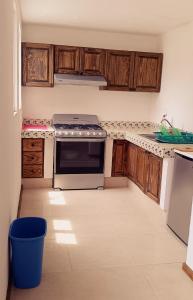 a kitchen with wooden cabinets and a stove at Un pequeño paraíso en Malinalco in Malinalco