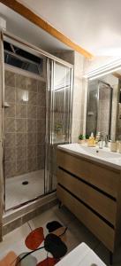 a bathroom with a shower and a sink at Gîte de l'Aiguillier in Castelnau-de-Montratier +5 photos