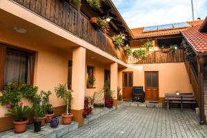 a courtyard of a house with potted plants at Nyiko Vendégház in Lupeni