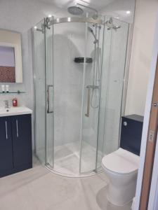 a bathroom with a shower and a toilet at Exeter Executive Apartments in Pinhoe